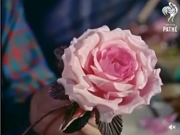 réalisation d'une fleur en papier de soie
