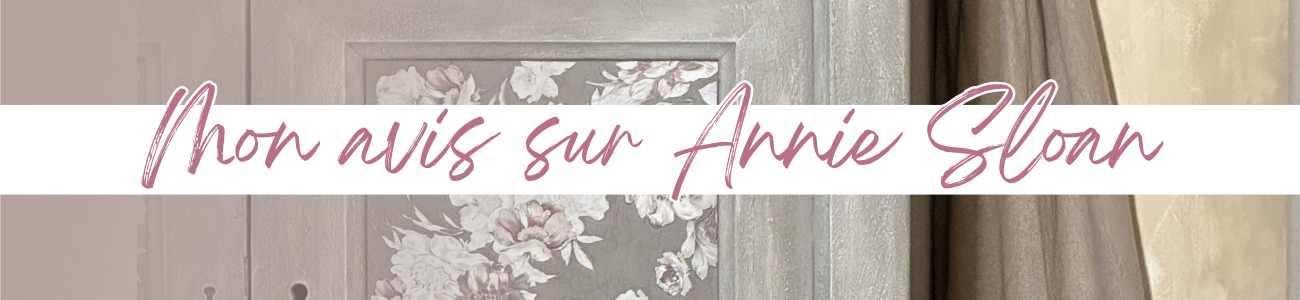 Avis sur la peinture annie sloan