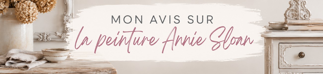 Avis sur la peinture annie sloan